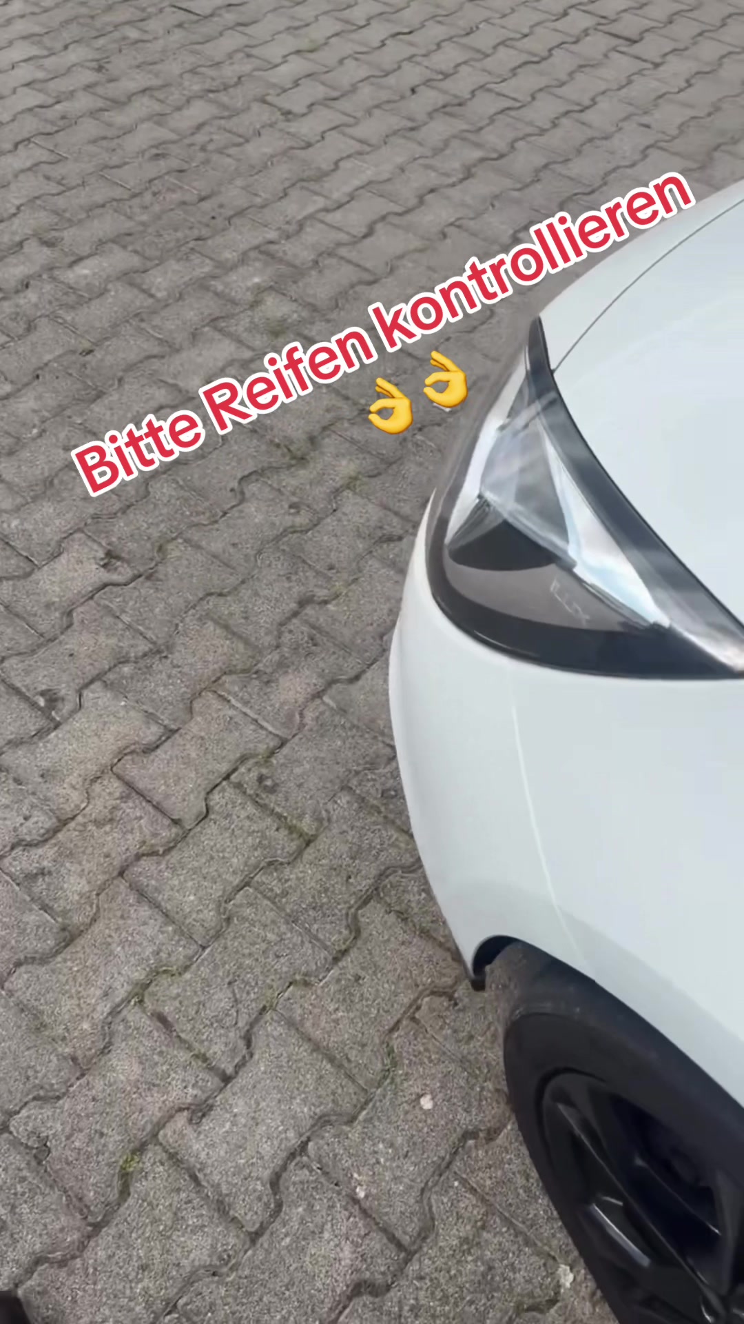 @reifentayar