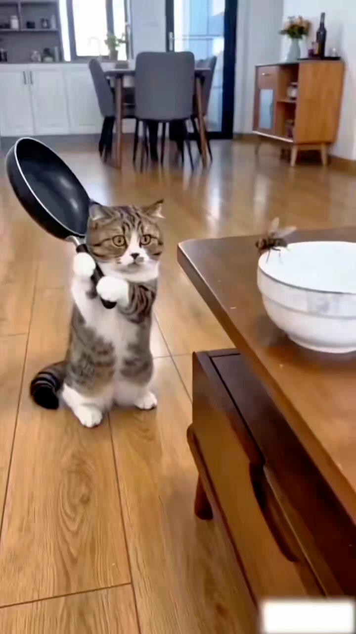 @올싱나야