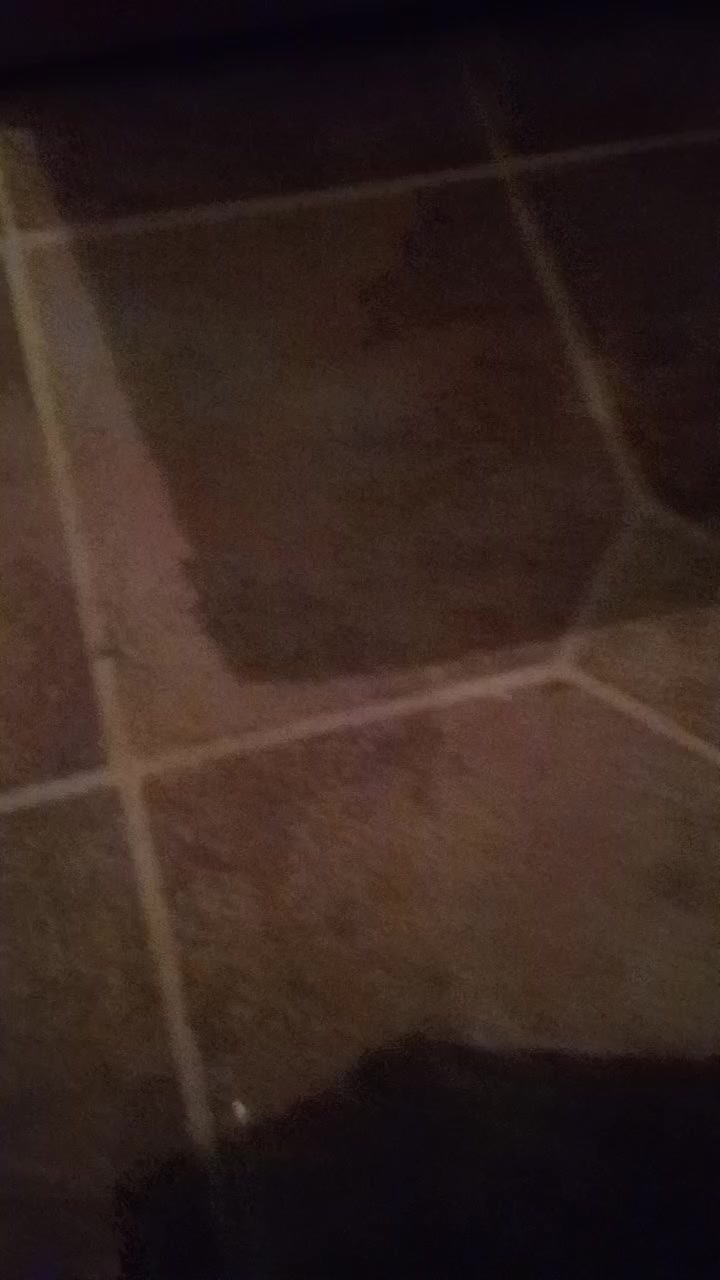 @The_GREENBird9