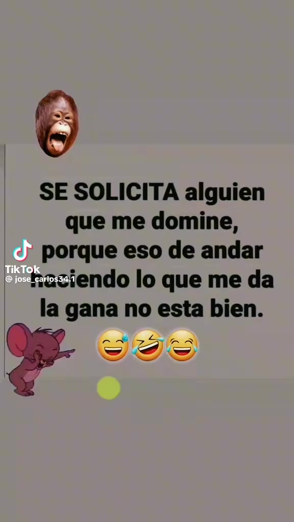 @Manuel Duarte268