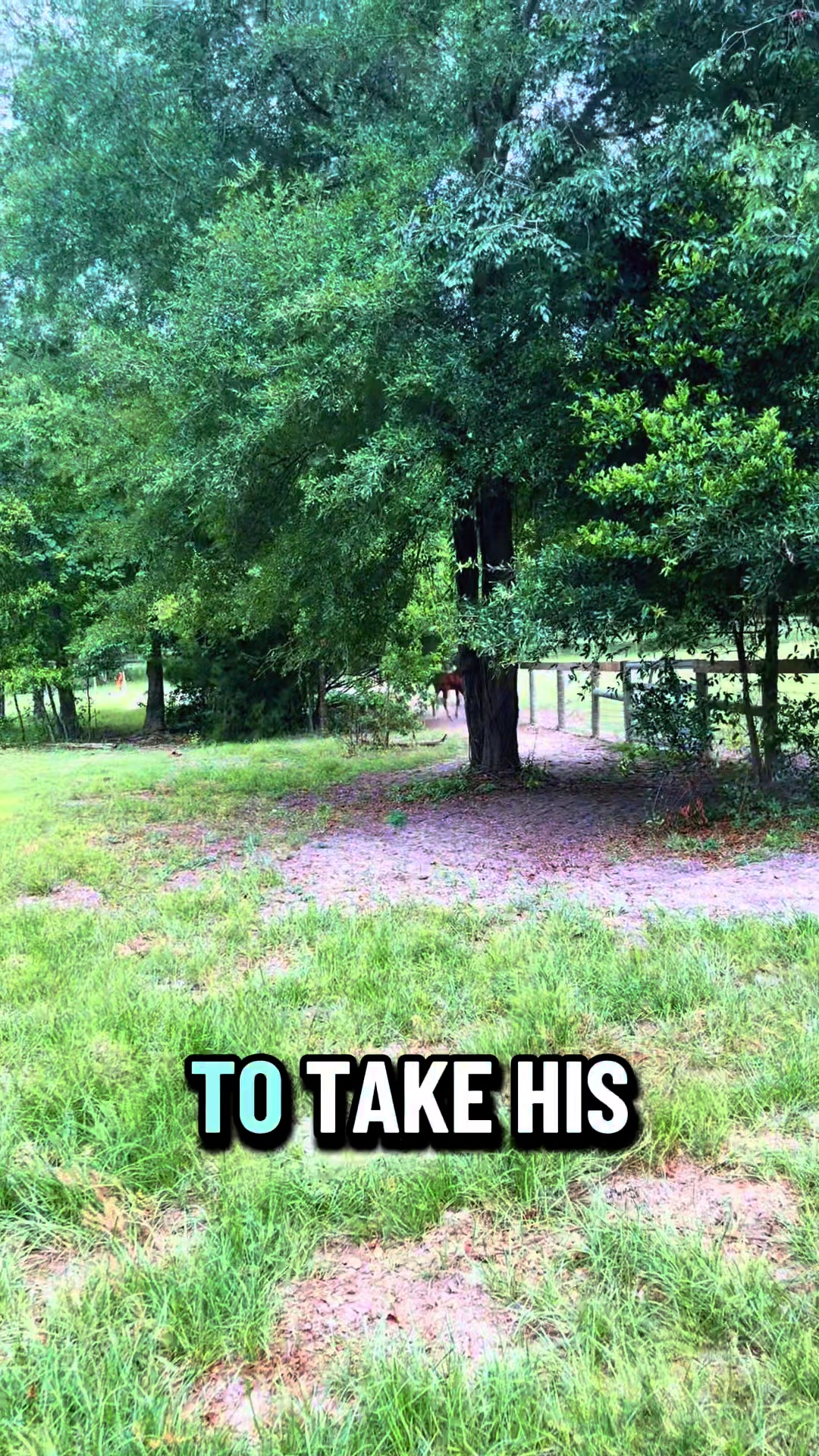 @Brandon