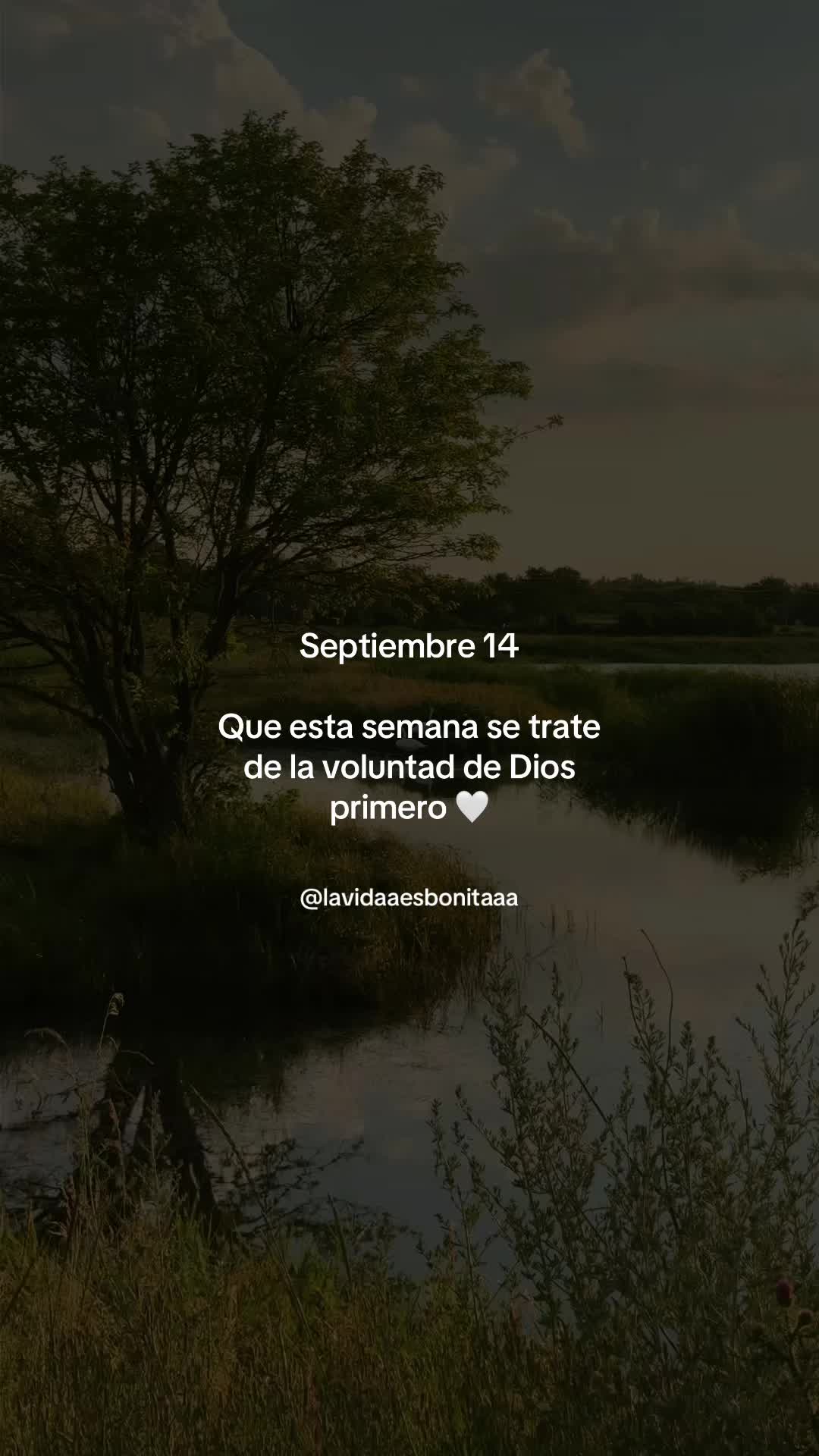 @vidabonita❤️🩹