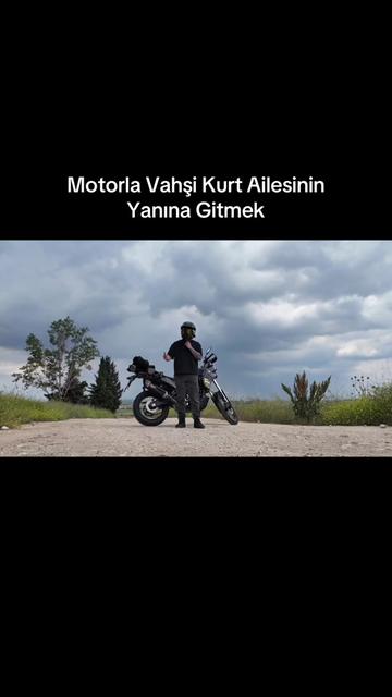 @Niko Aslaner