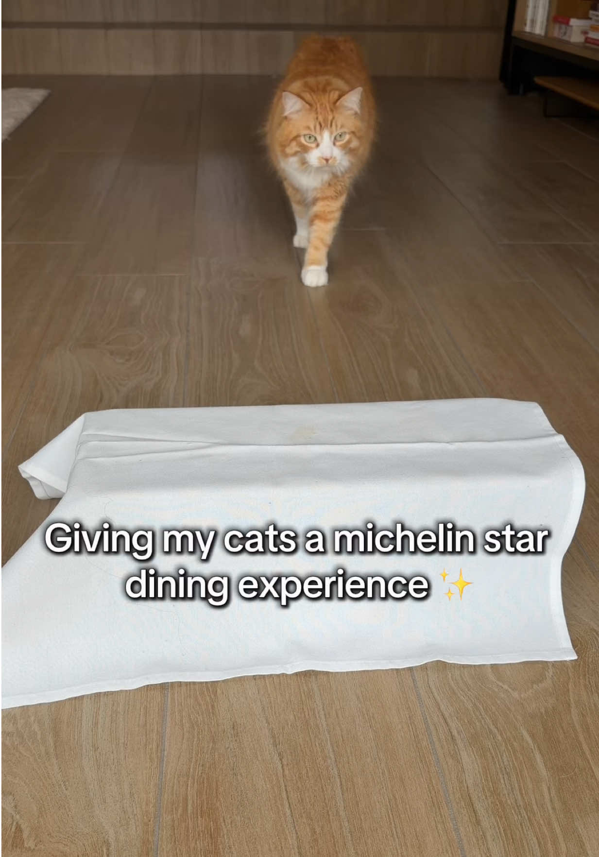 @Artemis & Charlie