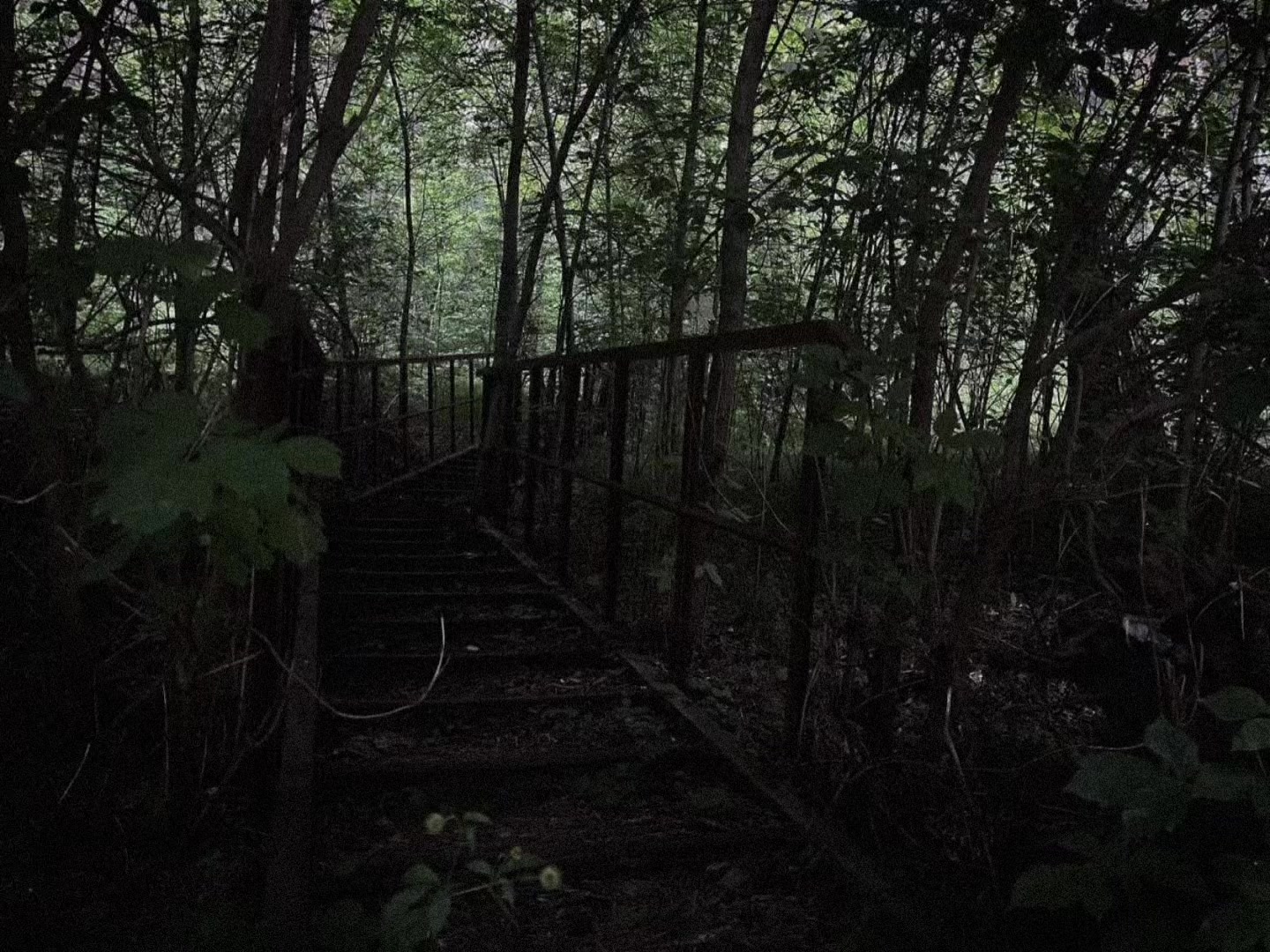 @𝒔𝒐𝒏𝒈𝒔