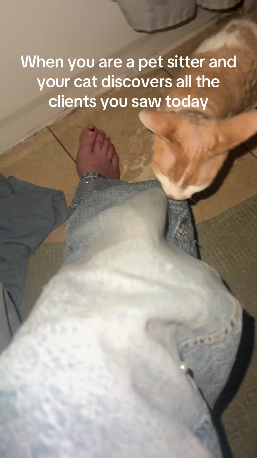 @Clairbbear