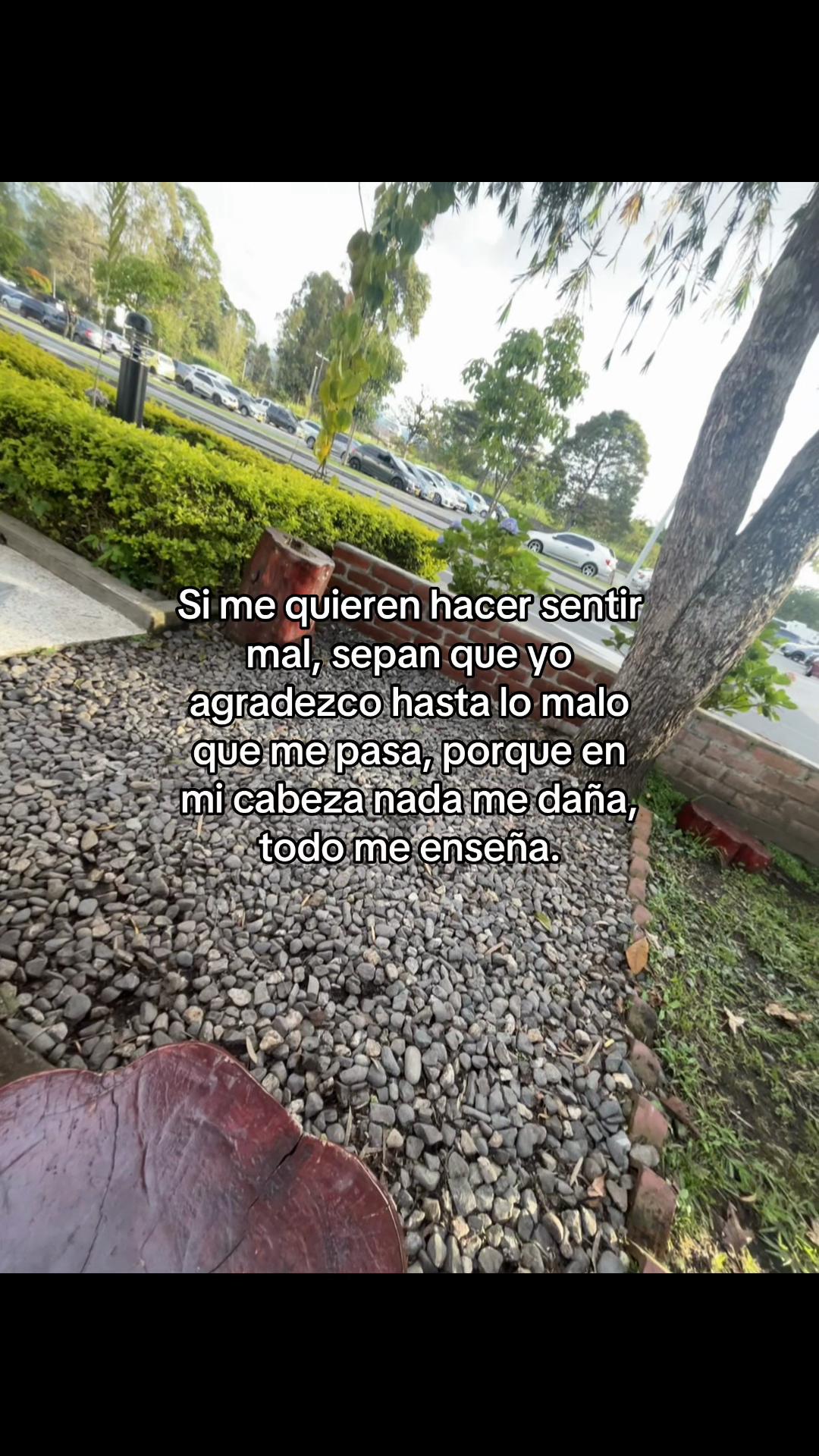@Irene Arango