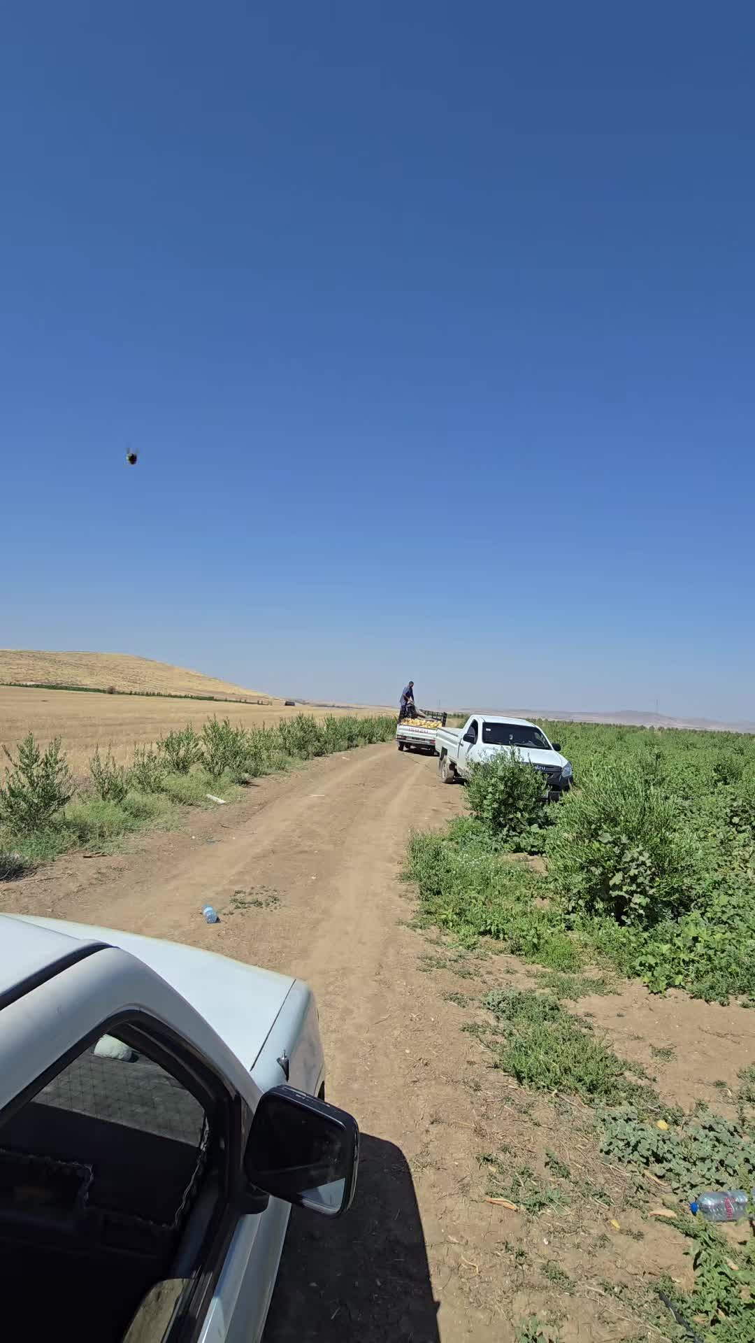 @Yassin Haj Taher