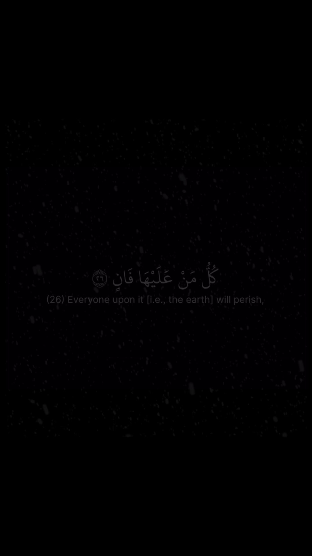 @Quran reciters