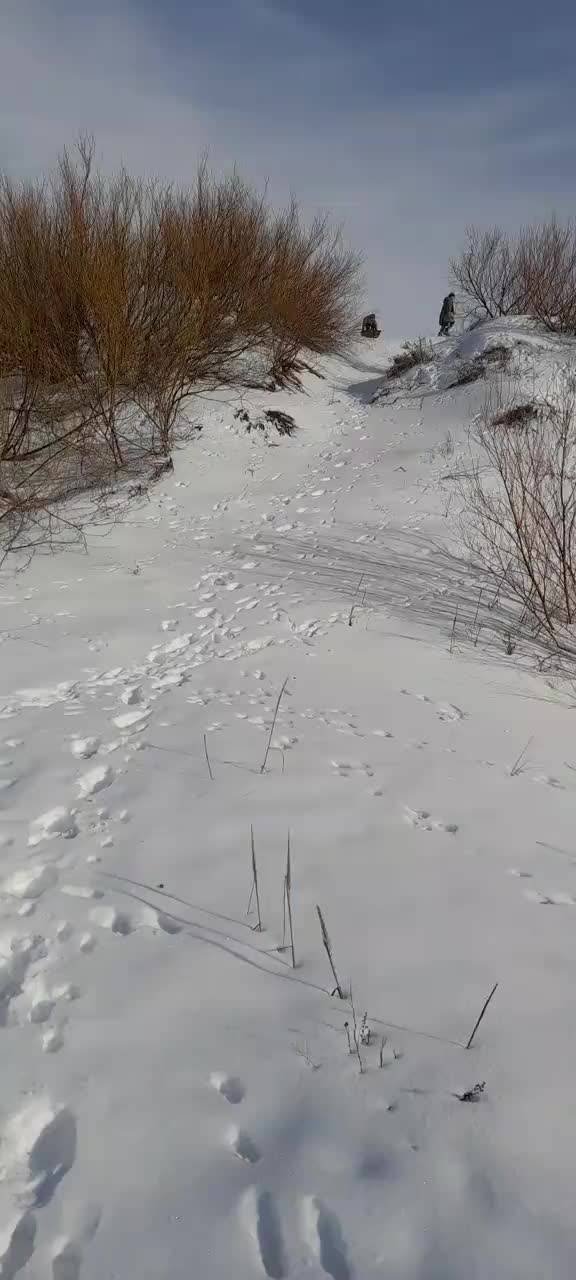@Лейс