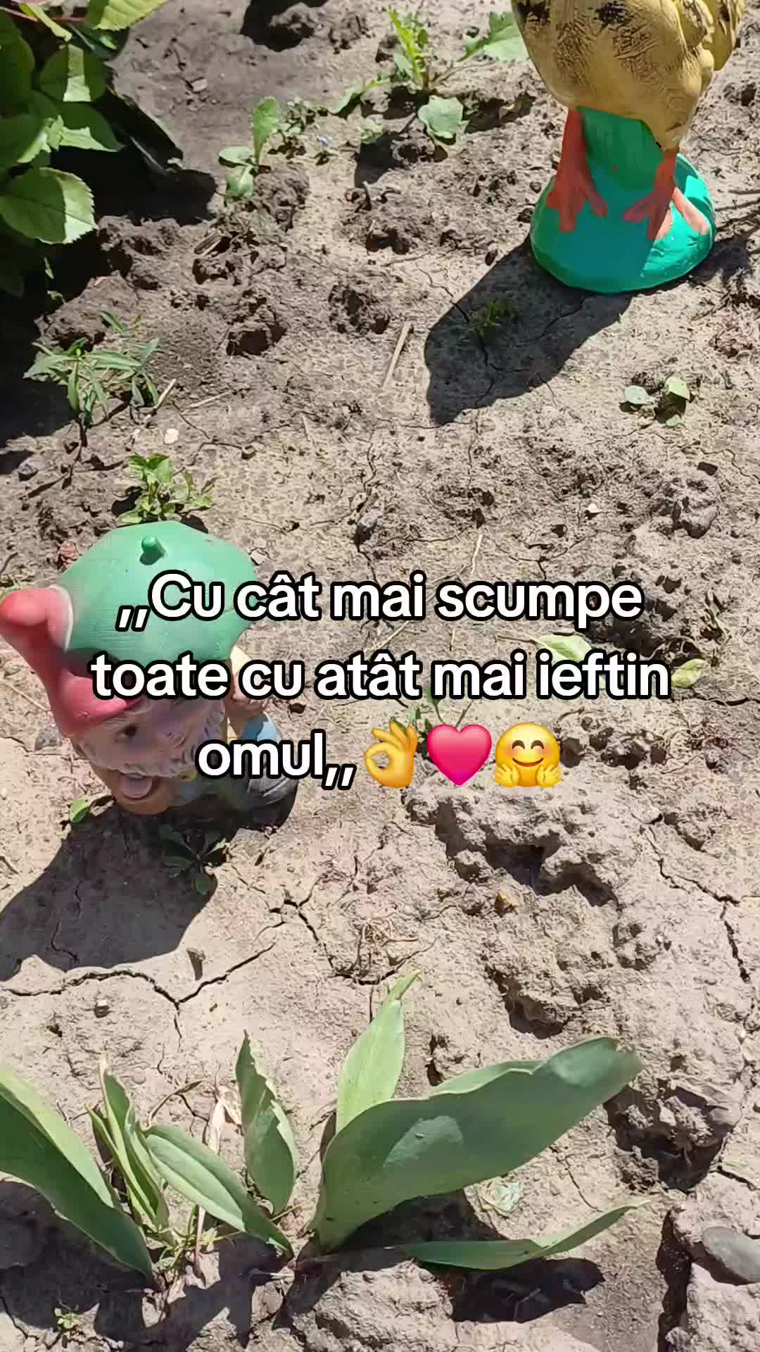 @florentinavararu
