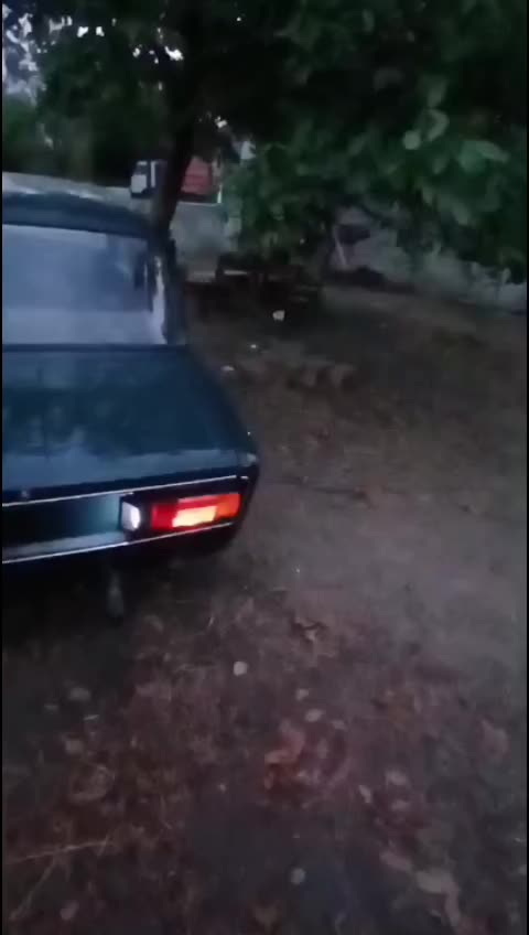 @afı.
