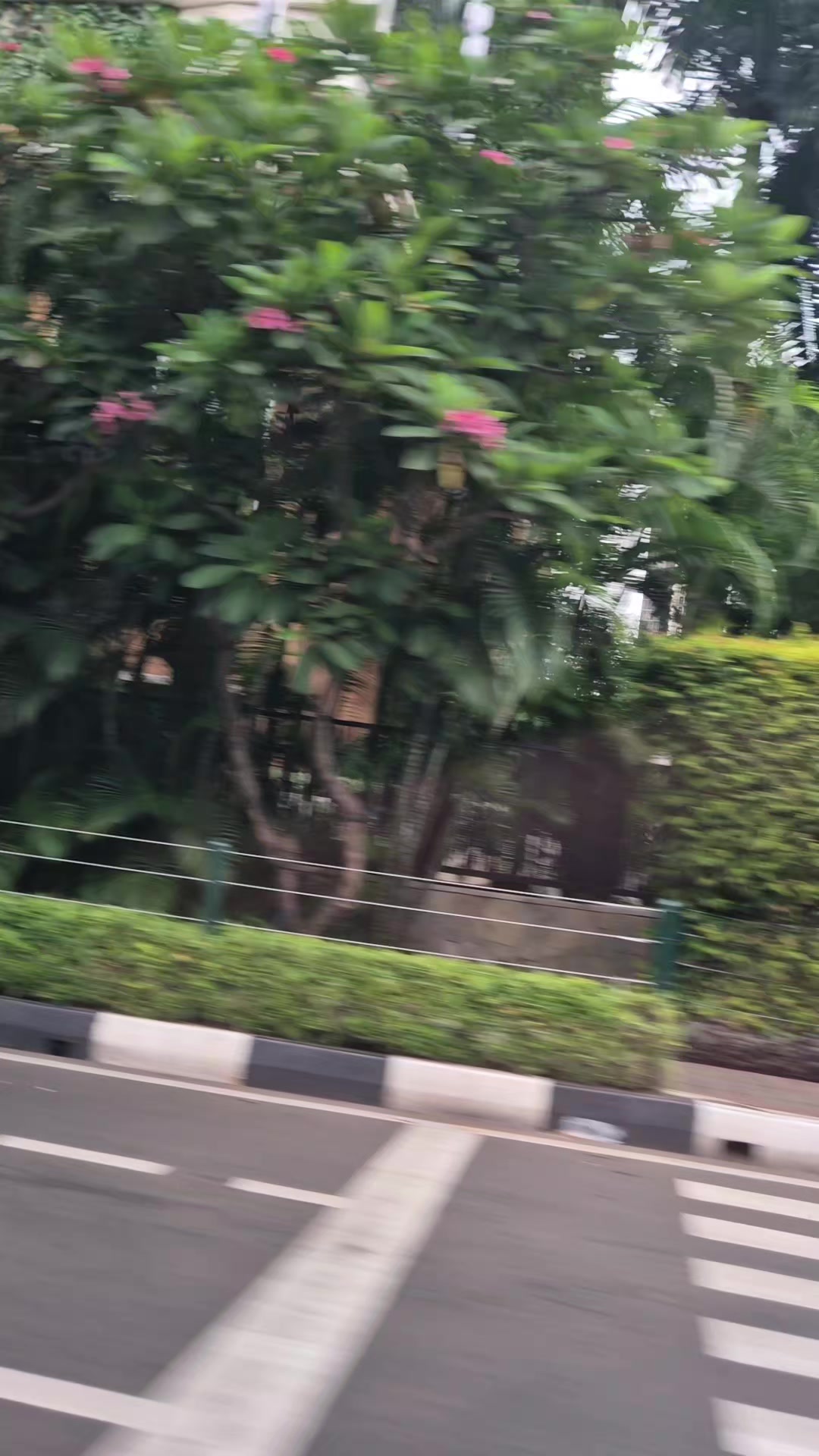 @Jakarta street view