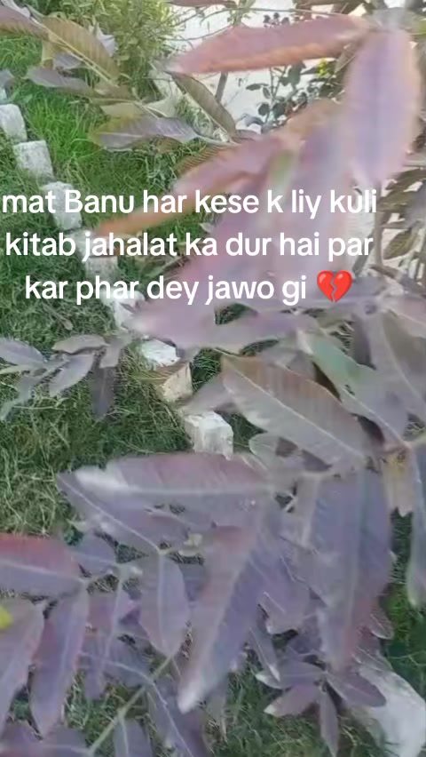 @Heer khanii 💕💖