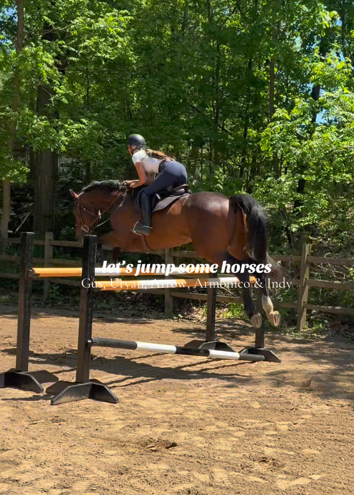 @Lunar Hill Equestrian