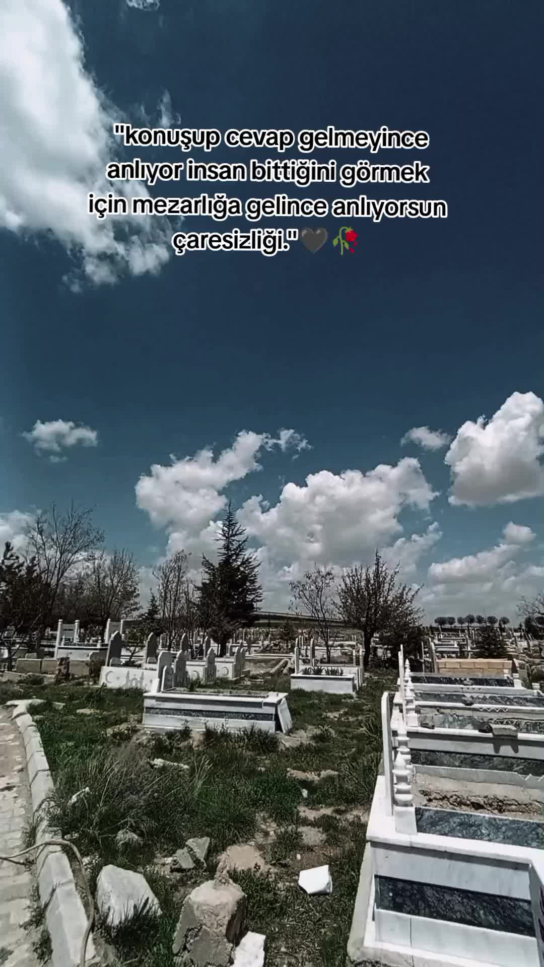 @𝕲𝖎𝖟𝖊𝖒✨