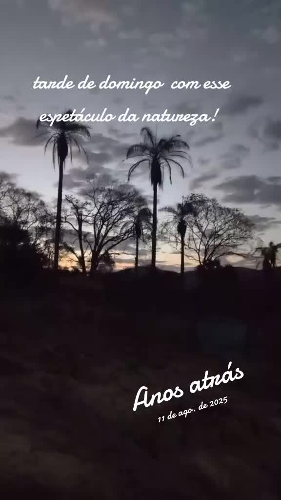 @Marlene Alves