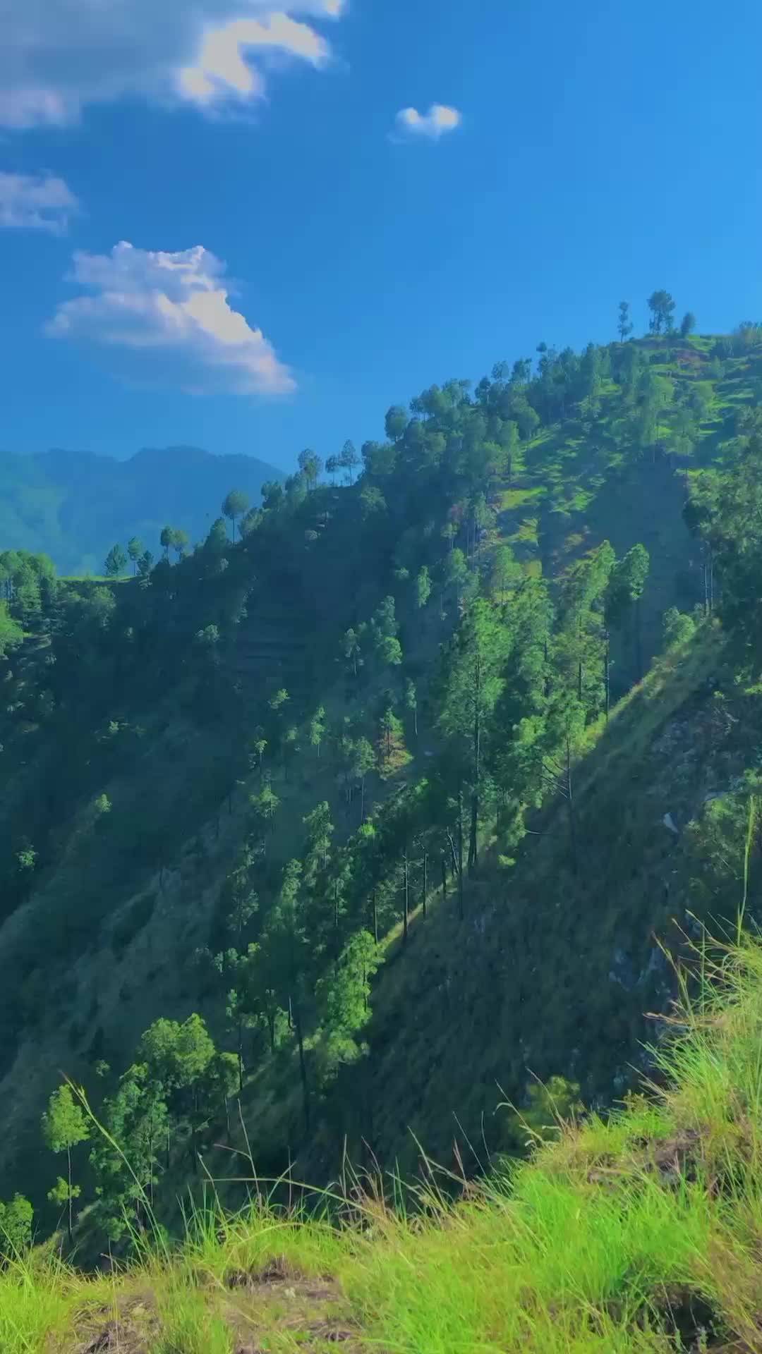 @وطن گلونہ