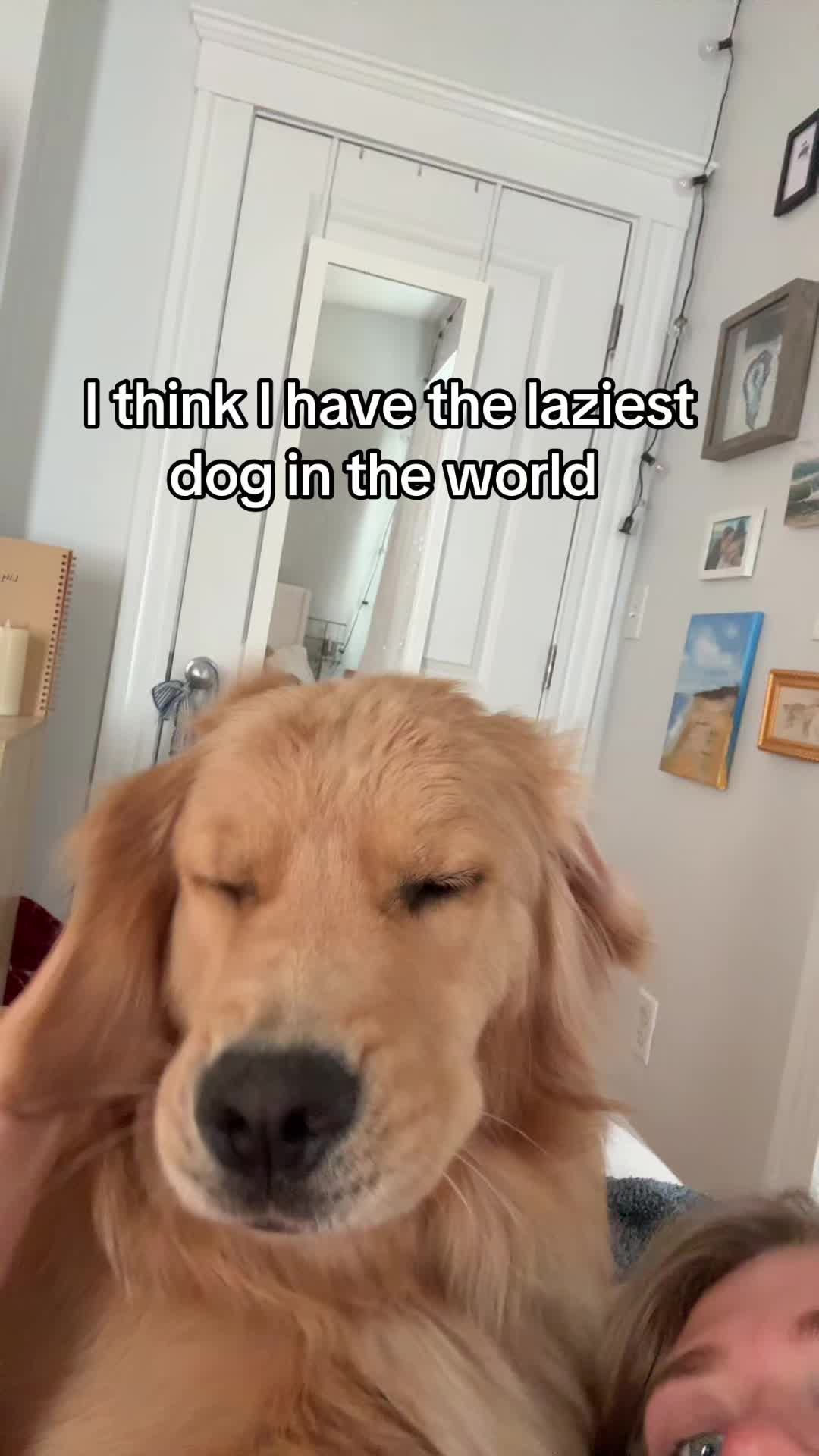 @Winter the Golden