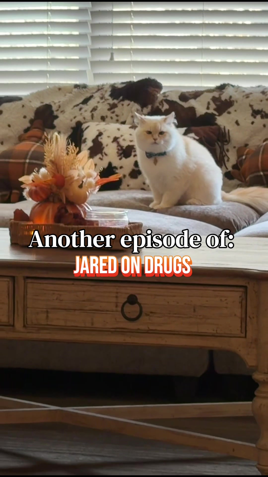 @jaredthecrosseyedcat