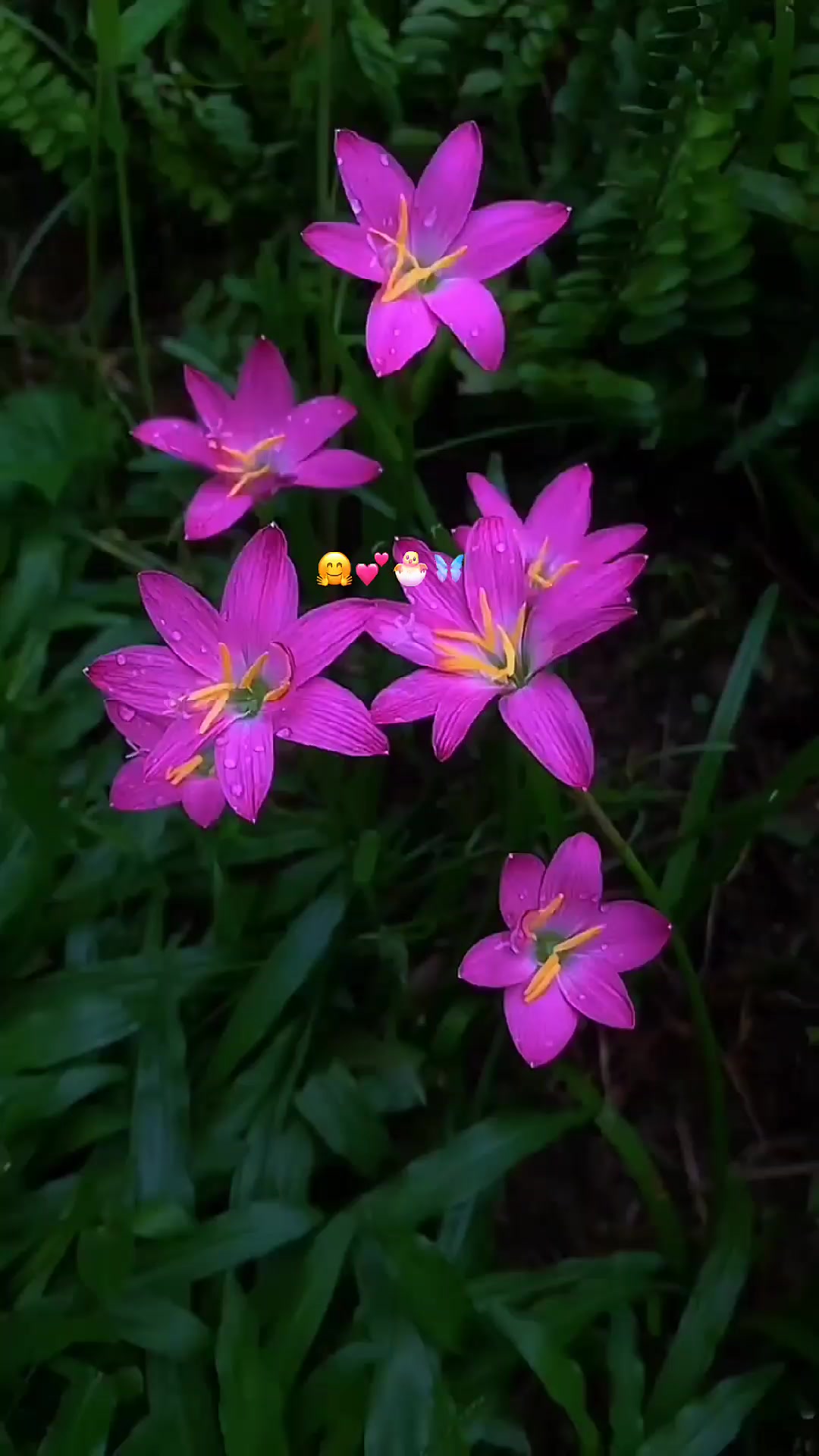 @๐จ_๐๏ธ