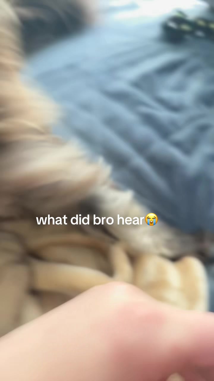 @maryyy🍄🧚🌙🐈&zwj;⬛