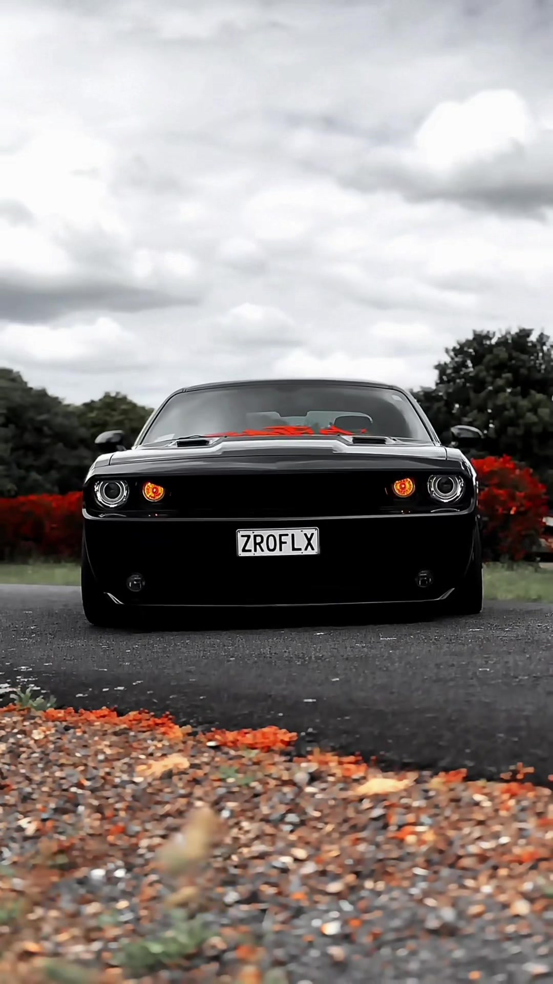 @ZEROFLEX