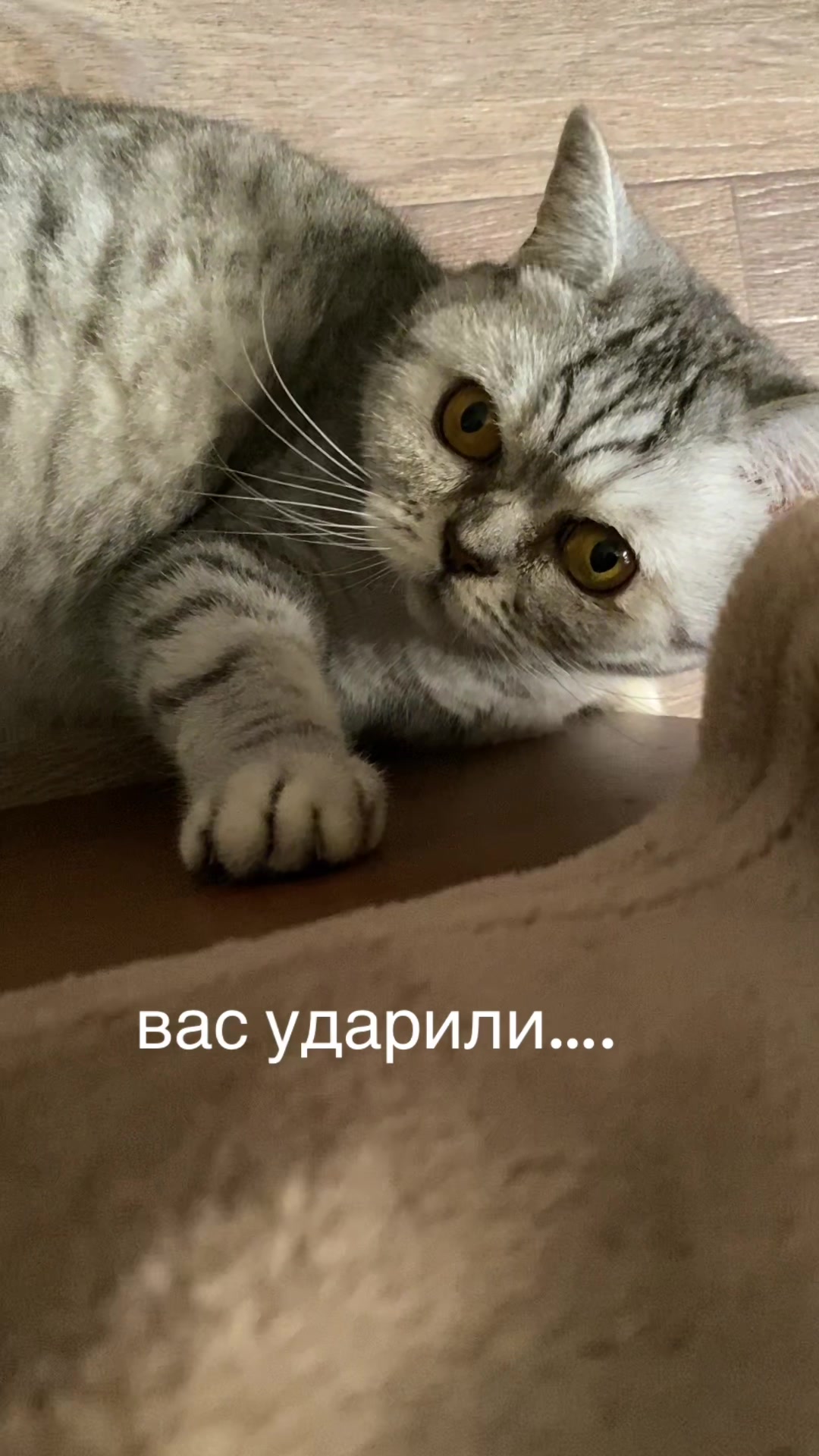 @цыганский табор на приоре