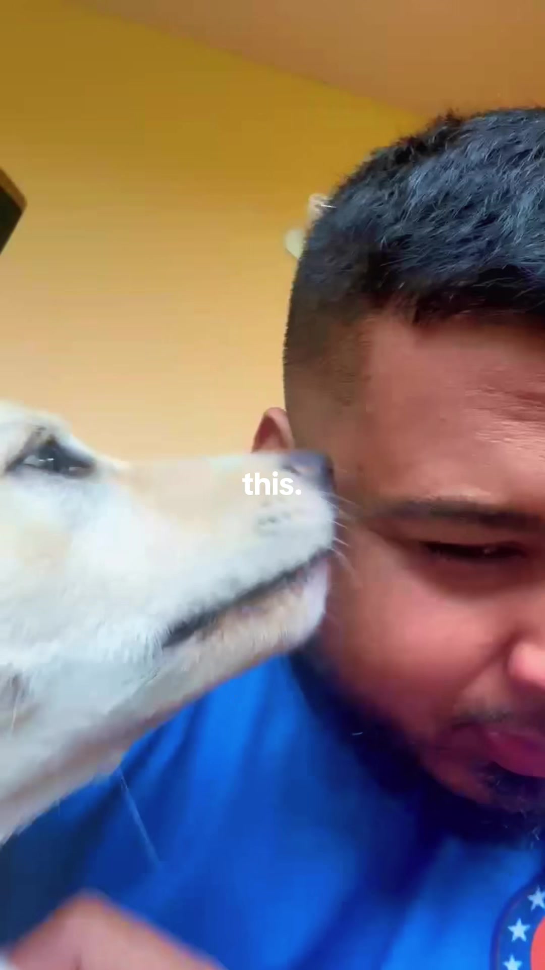 @Ricardo Ramdhan