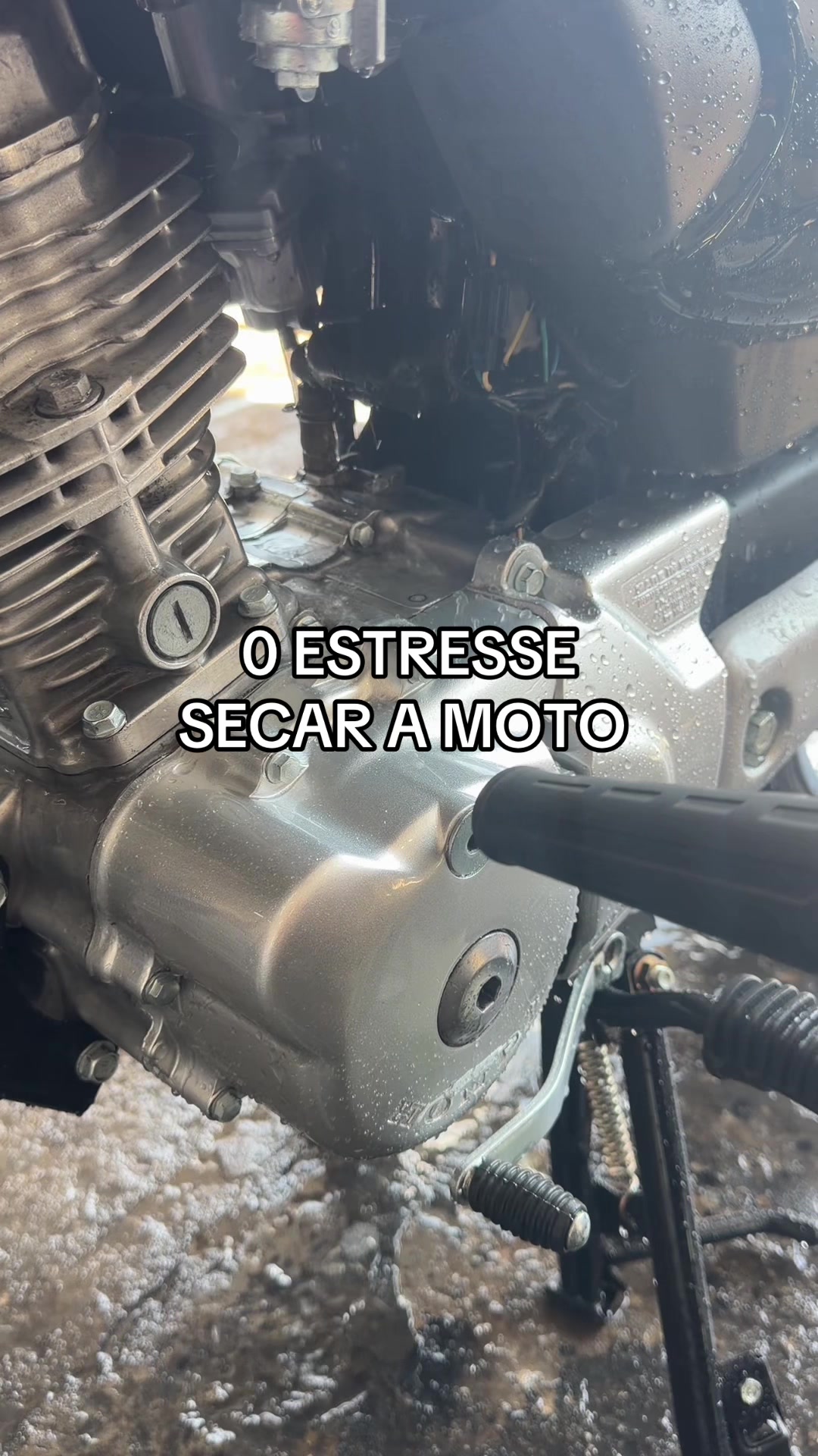 @Delazari Detailer