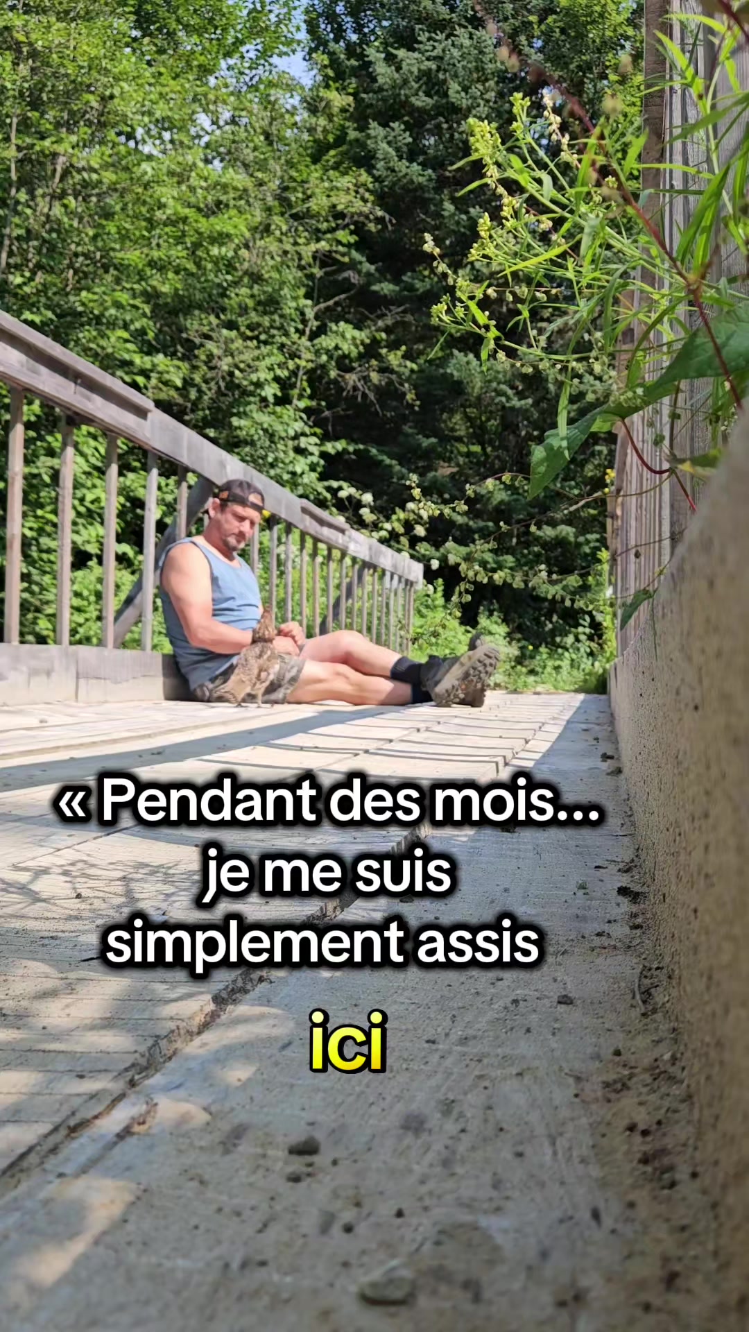 @Le Felin🐾