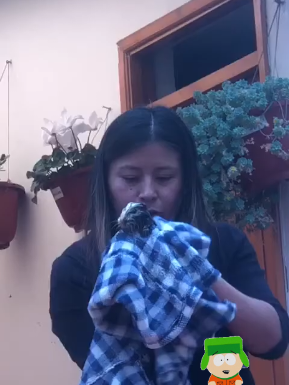 @Pilar *Korita*