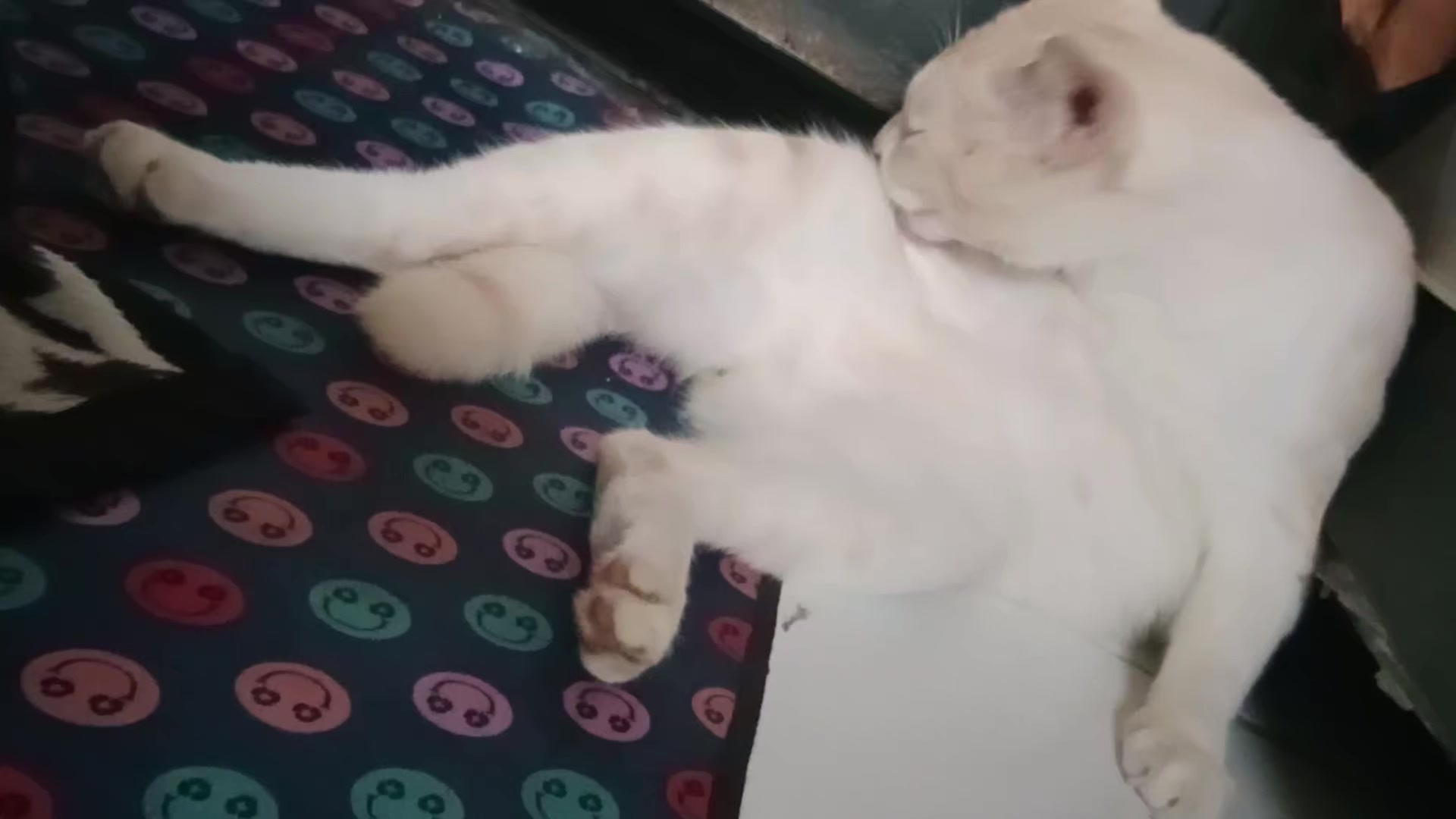 @Namira_Cut3