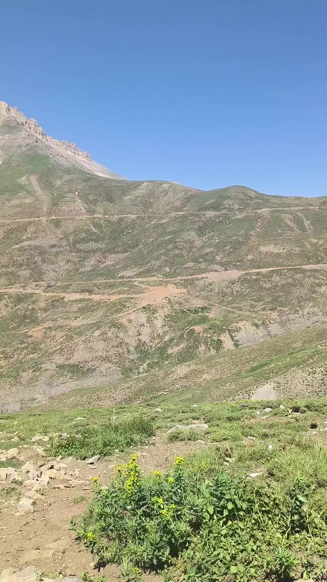 @RIDVAN 65📸📽️