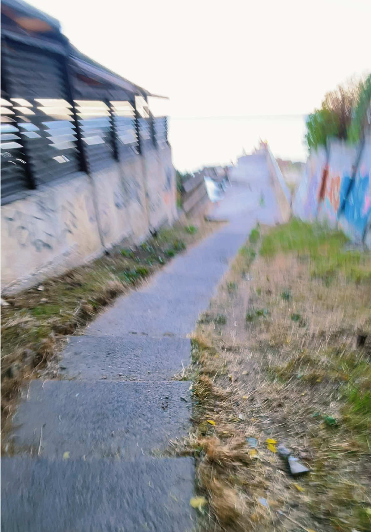 @monodvij