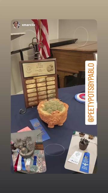 @Pablo L Gonz&aacute;lez