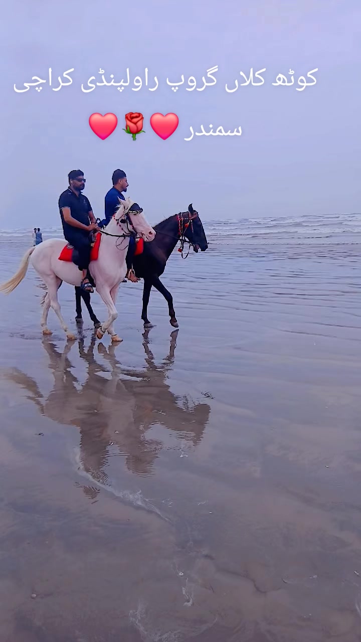 @چوہدری شکیل