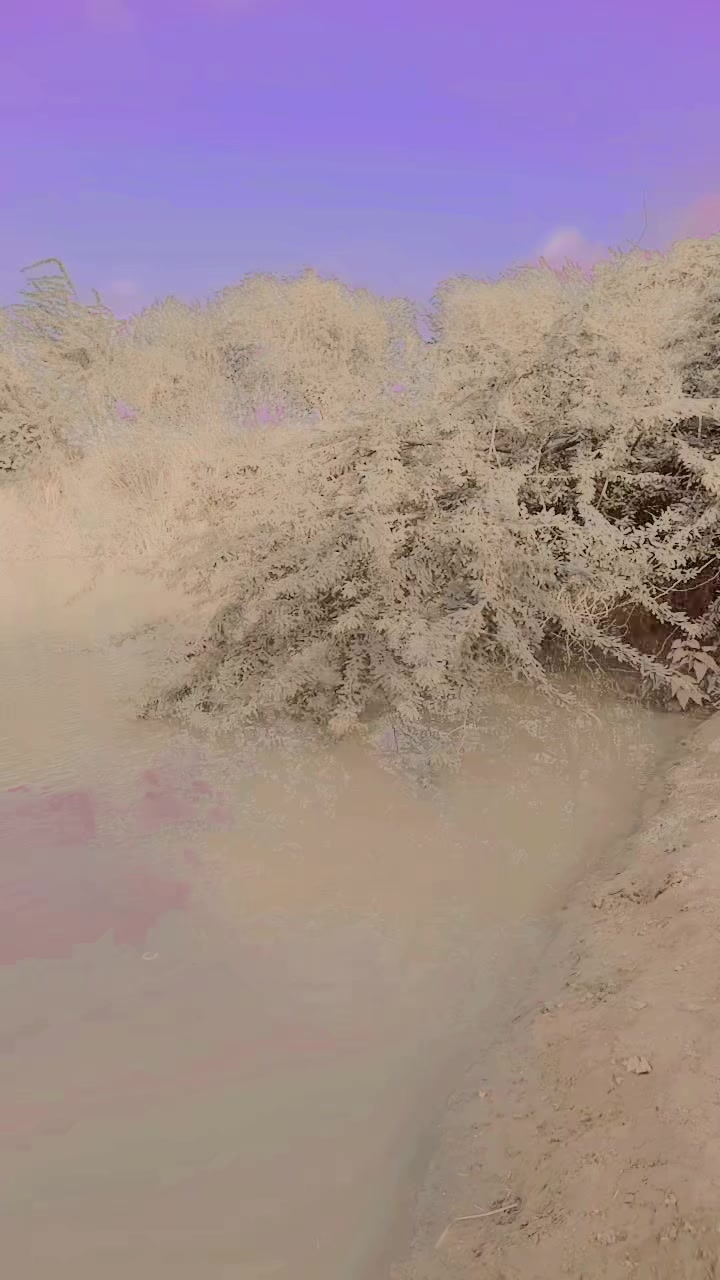 @رمشا سجاد نظاماڻي 🌺🌎