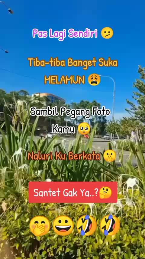 @˚₊‧꒰ა Naylofar ໒꒱ ‧₊˚