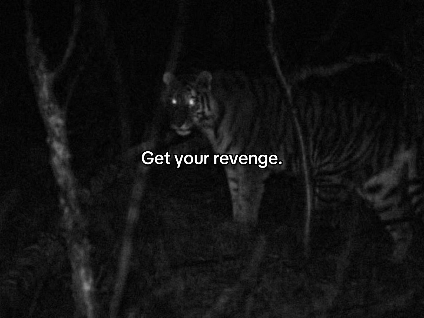 @RELENTLESS RISE