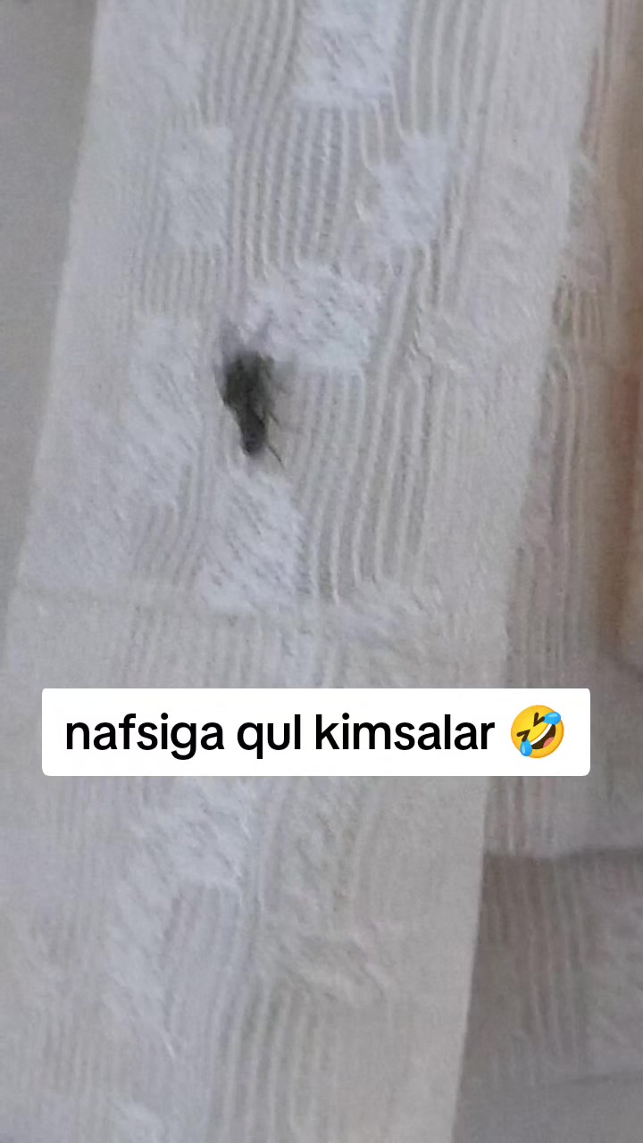 @&hearts;️AYPERI&hearts;️
