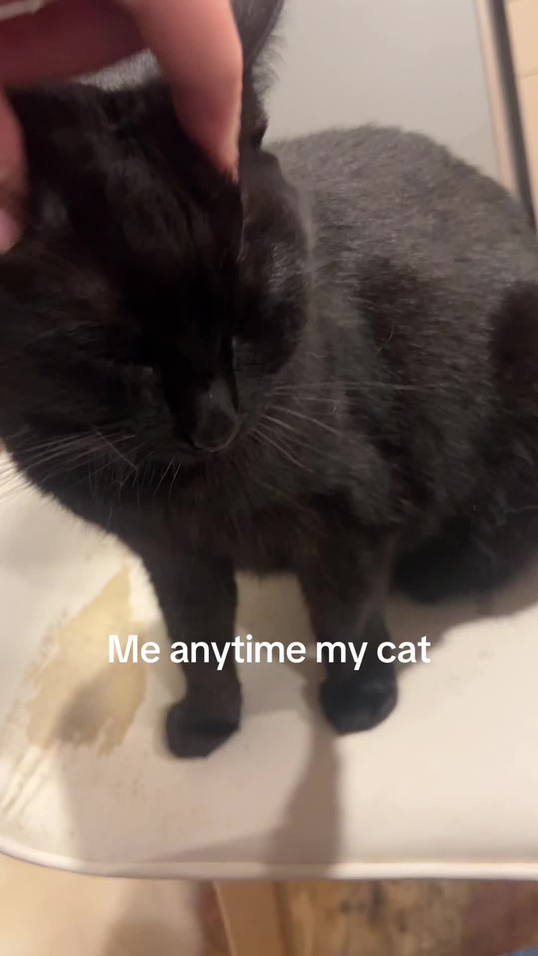@Barksnbites