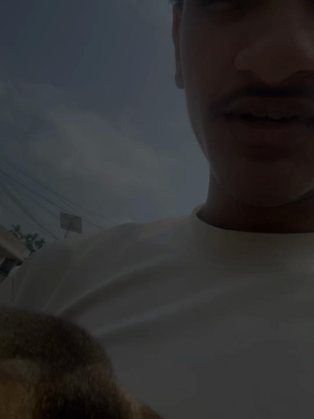 @🕷️