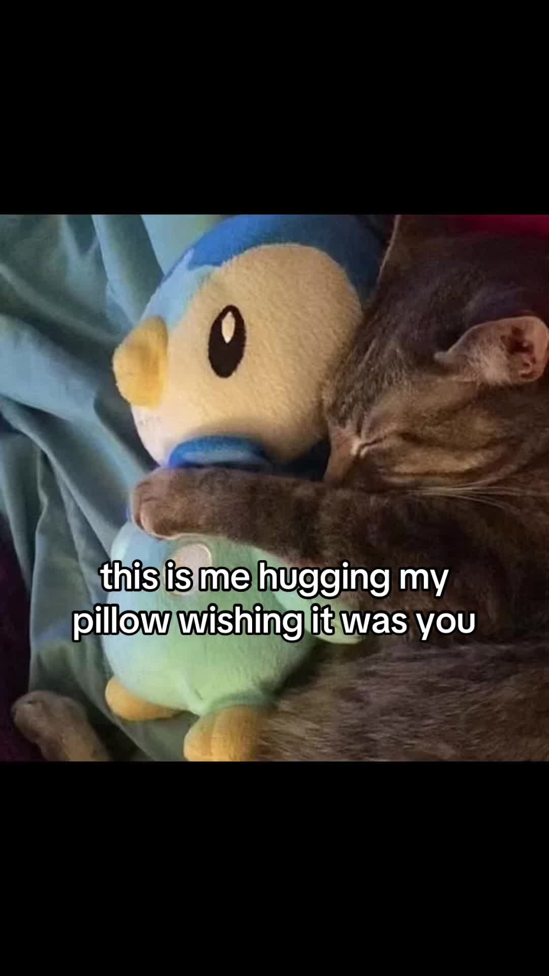 @meowconcept