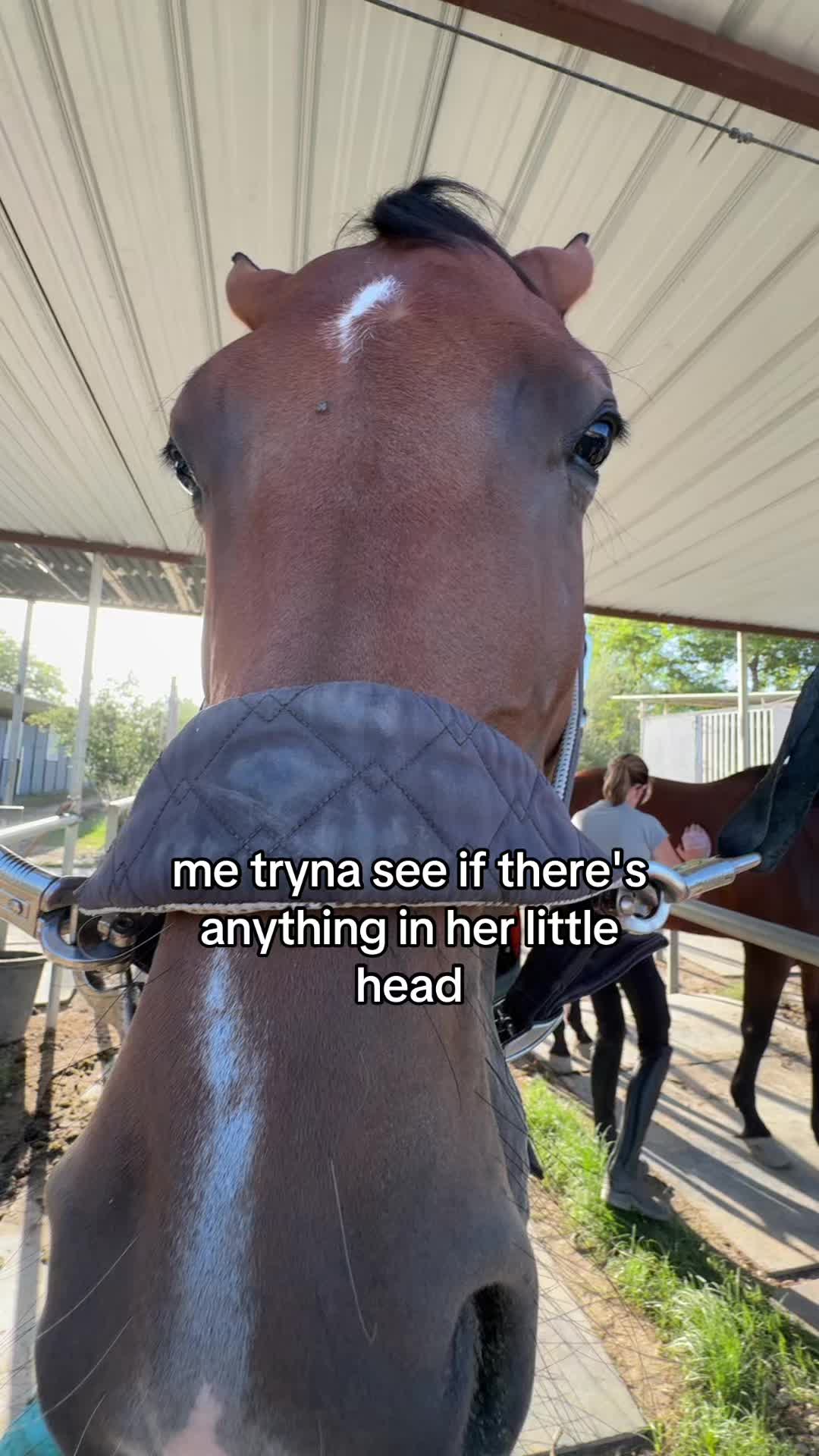 @si3nna.eq
