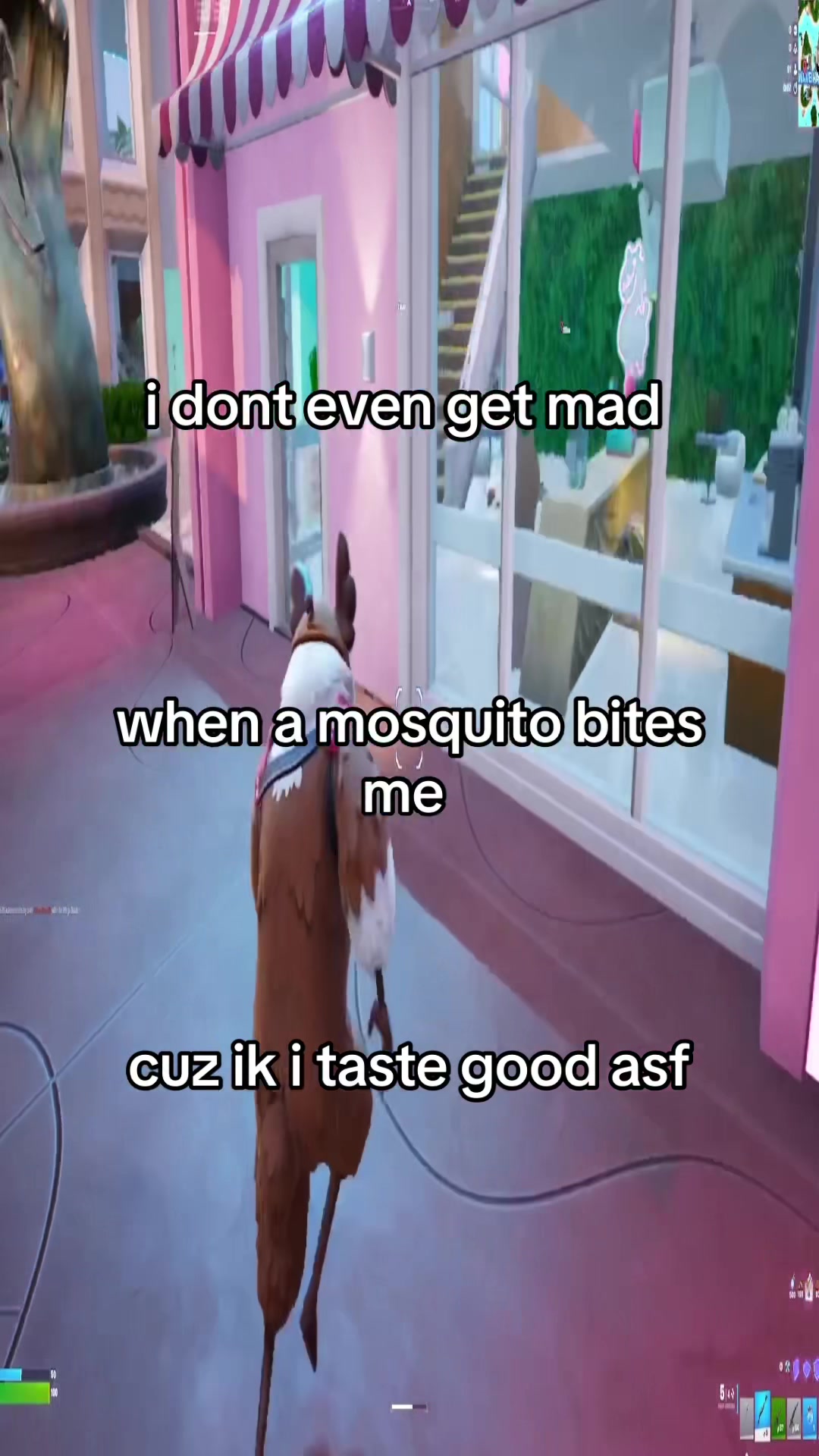 @genesis8k