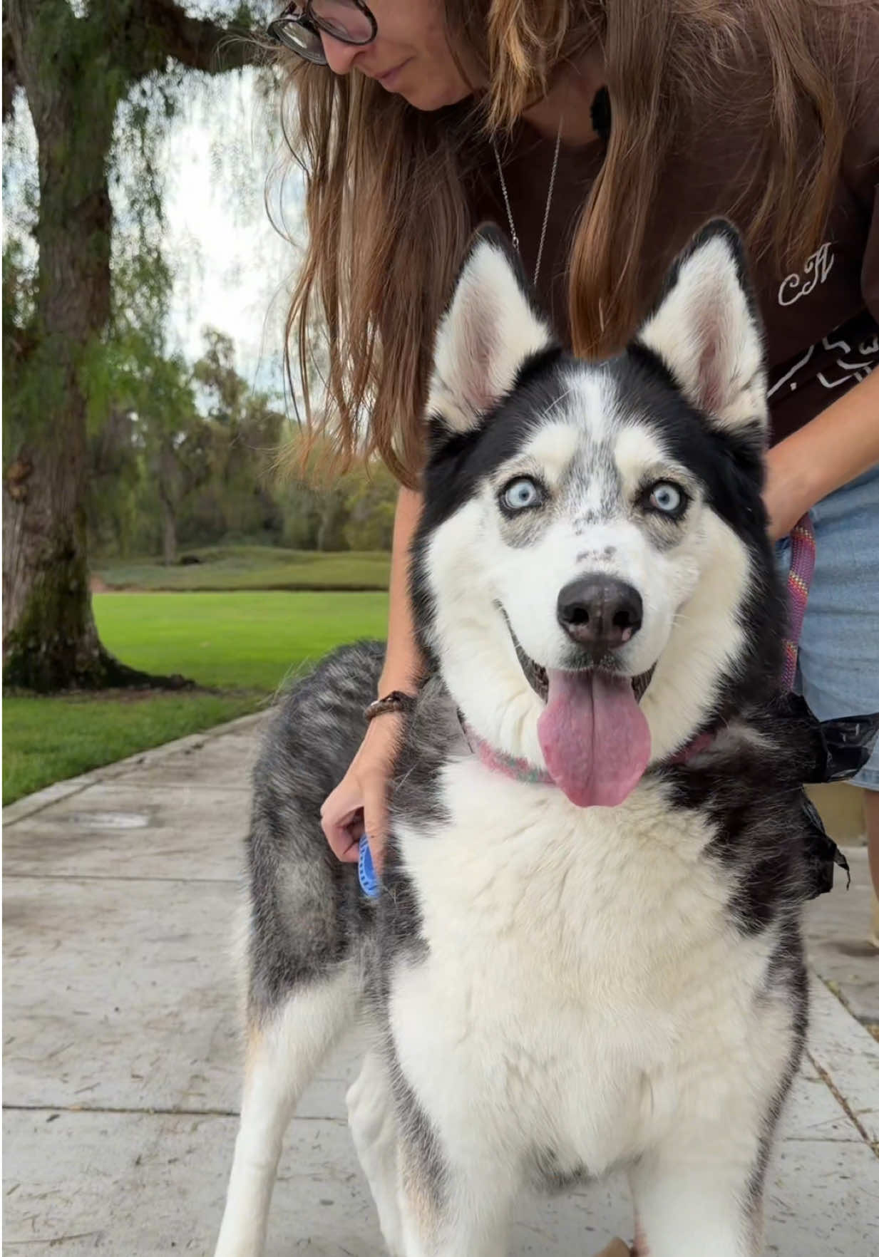 @CanineAntics