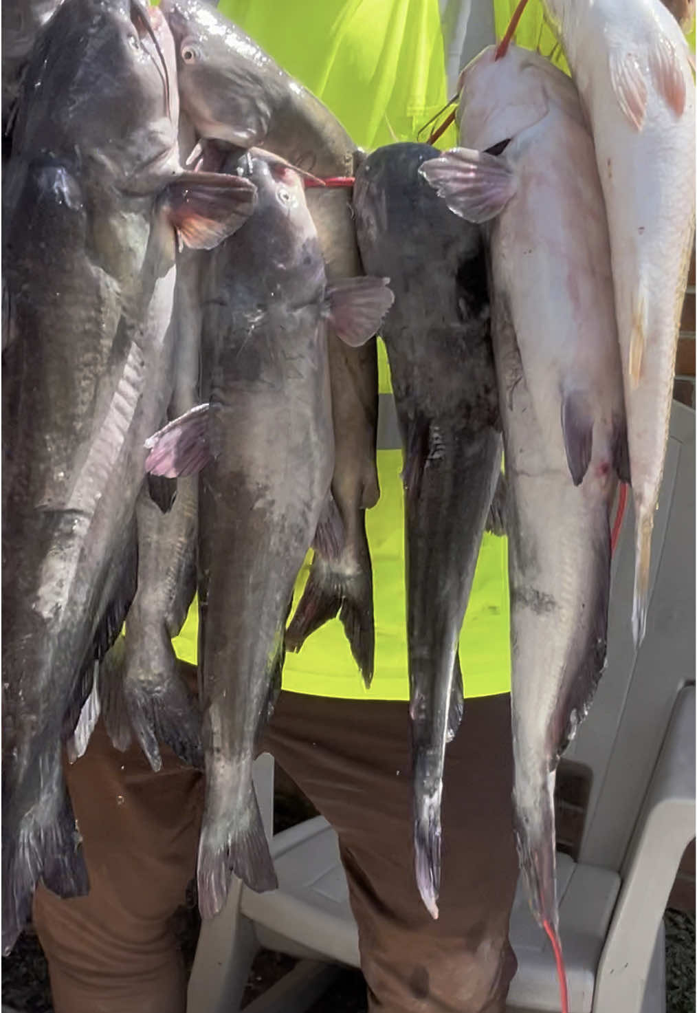 @LOW_BUDGET_FISHING
