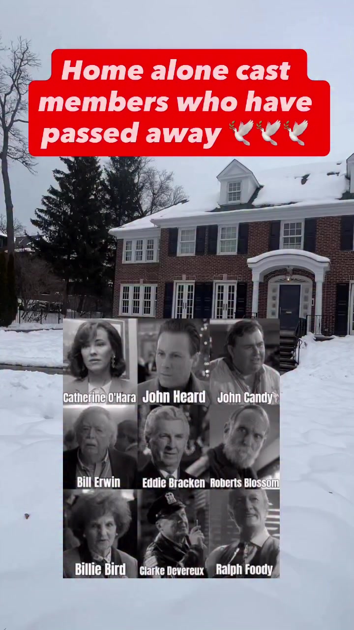 @HomeAlone Christmas🎄❄️
