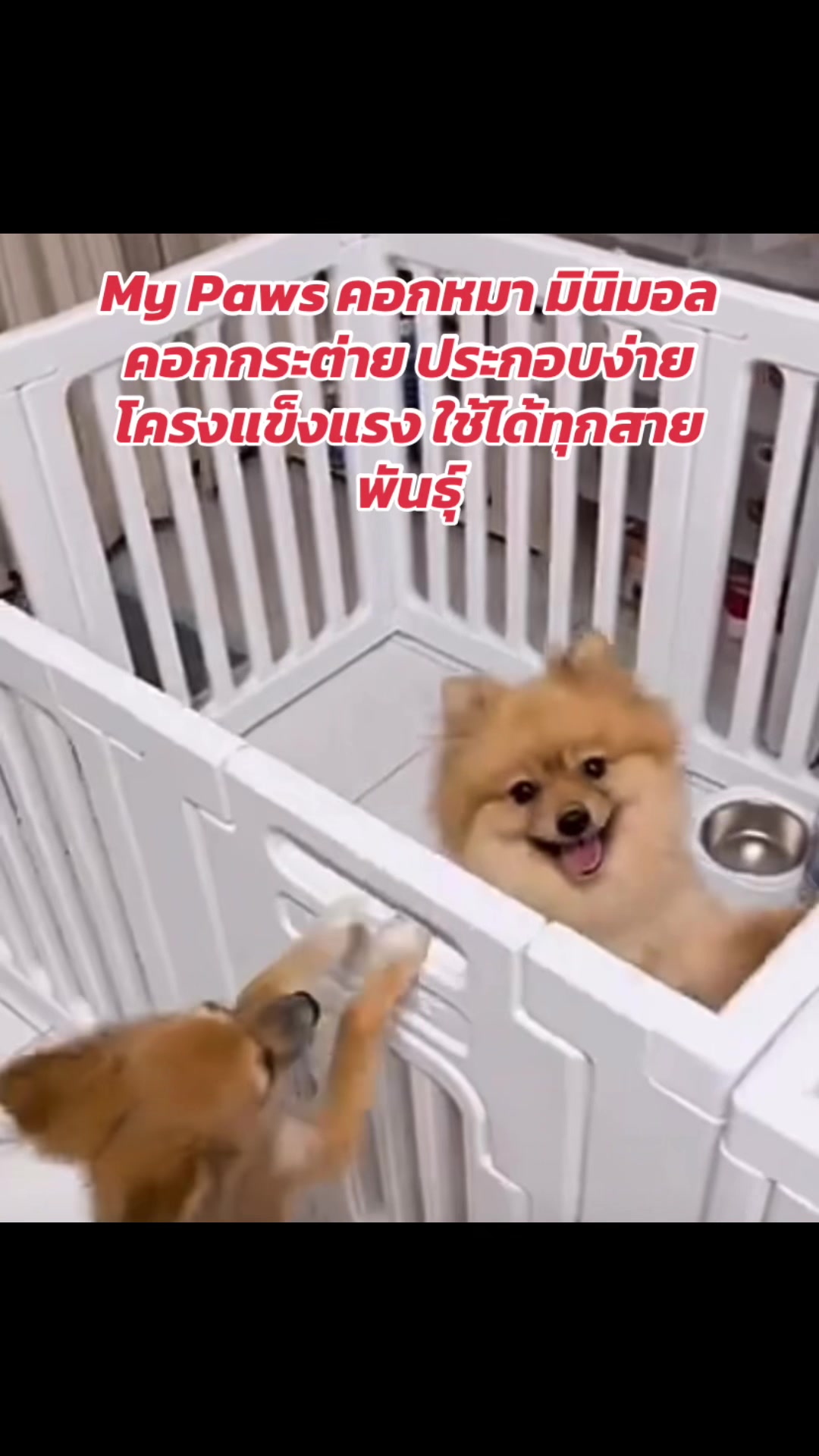 @luxsiriwan21